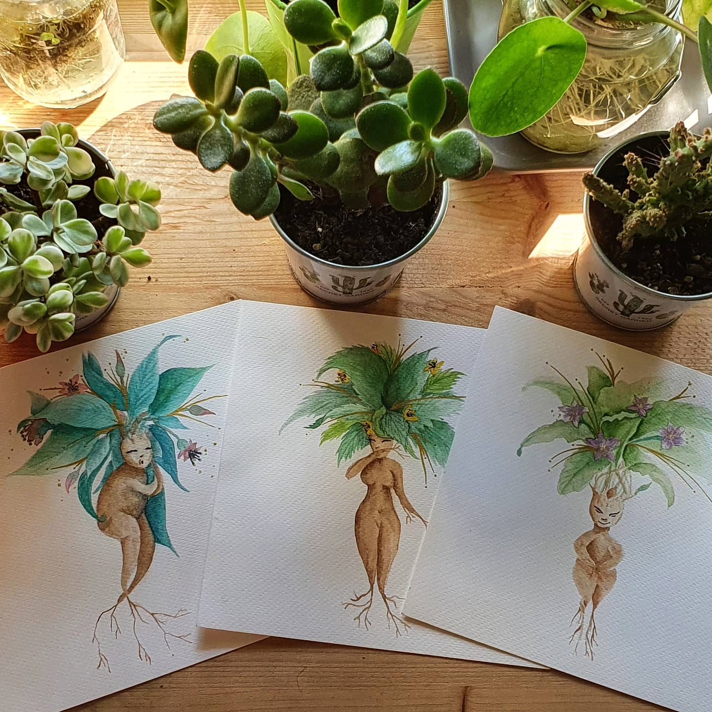 trio de mandragores illustration aquarelle atelier de marie
